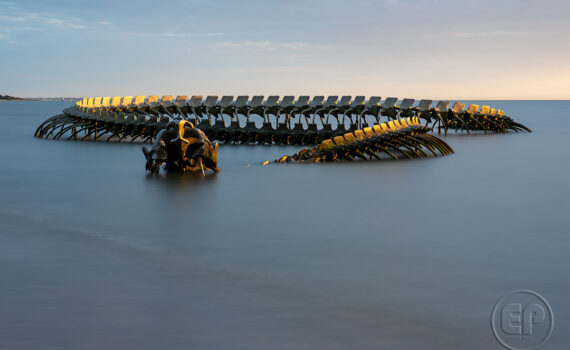 LE SERPENT D'OCÉAN De Huang Yong Ping 04