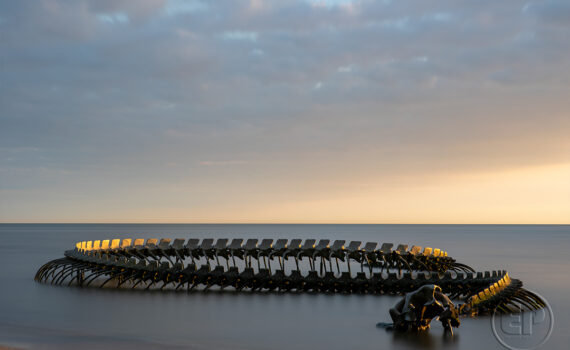 LE SERPENT D'OCÉAN De Huang Yong Ping 05