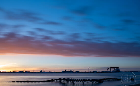 LE SERPENT D'OCÉAN De Huang Yong Ping 06