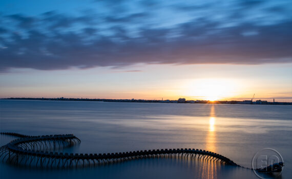 LE SERPENT D'OCÉAN De Huang Yong Ping 07