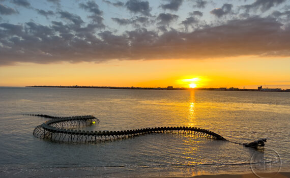 LE SERPENT D'OCÉAN De Huang Yong Ping 08