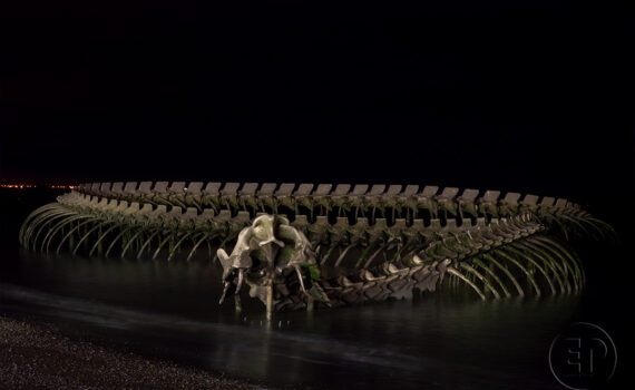 LE SERPENT D'OCÉAN De Huang Yong Ping 09