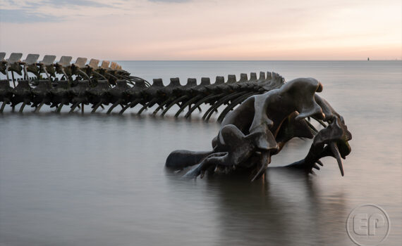 LE SERPENT D'OCÉAN De Huang Yong Ping 10