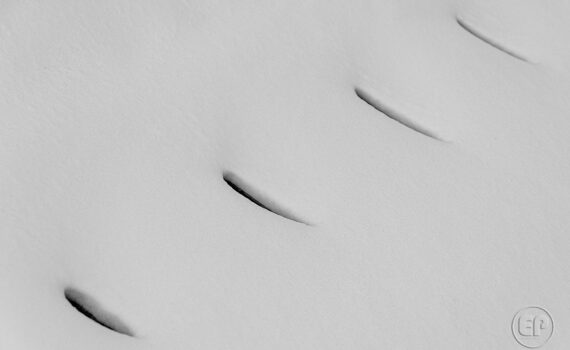 Neige-a-la-Defense_04