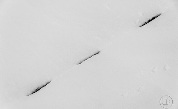 Neige-a-la-Defense_10