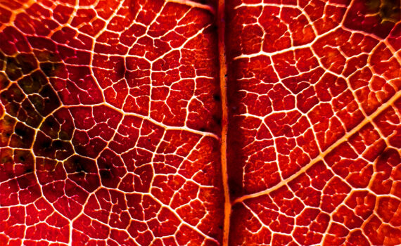 NUANCES De couleurs et de matières 01