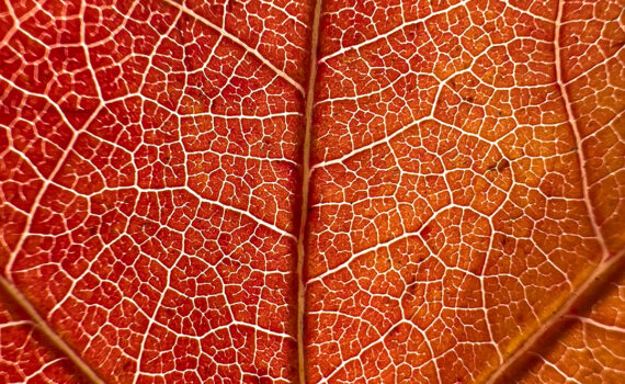 NUANCES De couleurs et de matières 02