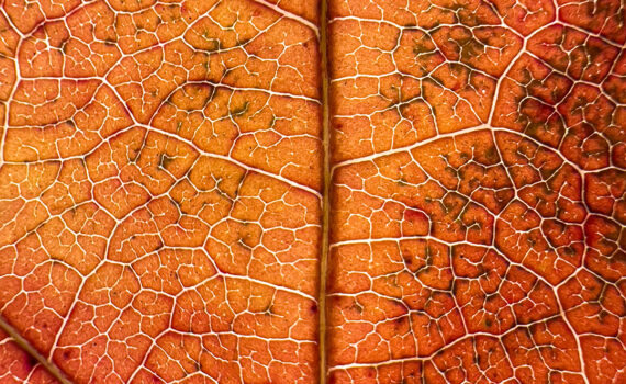 NUANCES De couleurs et de matières 03