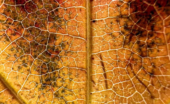 NUANCES De couleurs et de matières 04