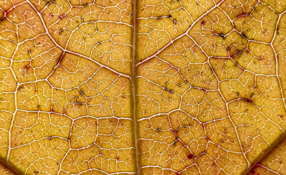 NUANCES De couleurs et de matières 05