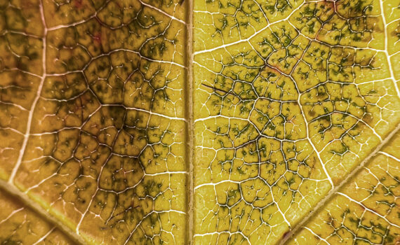 NUANCES De couleurs et de matières 06