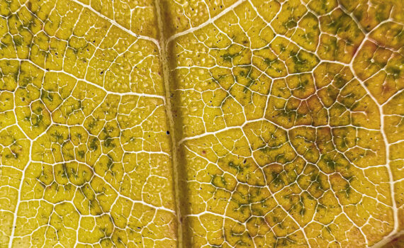 NUANCES De couleurs et de matières 07