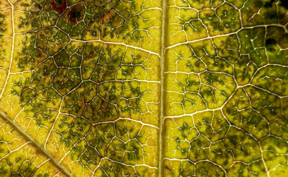 NUANCES De couleurs et de matières 08