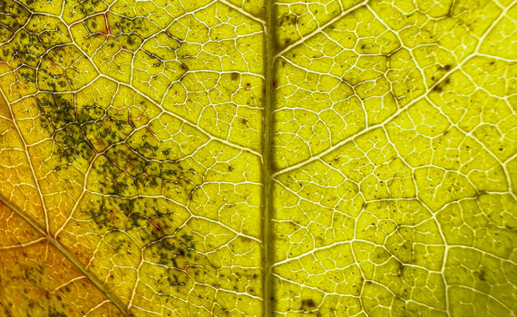 NUANCES De couleurs et de matières 09