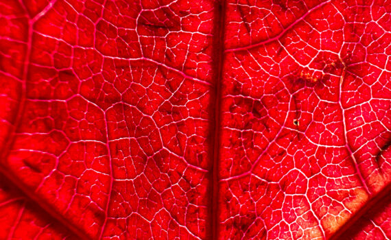 NUANCES De couleurs et de matières 10