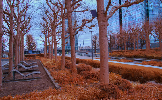 PARIS LA DÉFENSE En IR 02