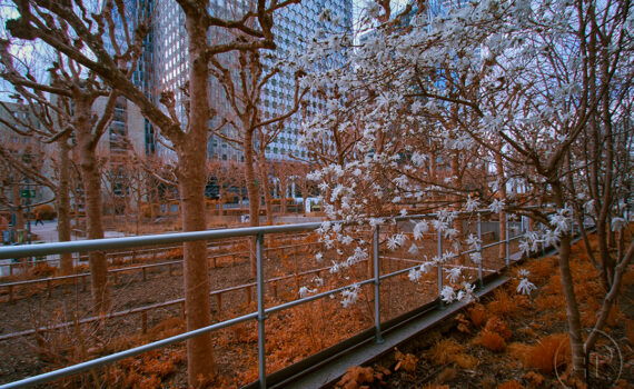PARIS LA DÉFENSE En IR 03