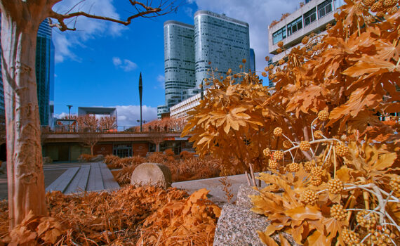 PARIS LA DÉFENSE En IR 09