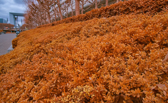 PARIS LA DÉFENSE En IR 14