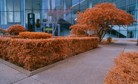 PARIS LA DÉFENSE En IR 16