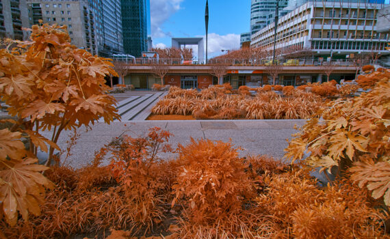 PARIS LA DÉFENSE En IR 17