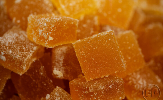 SALON DE L'AGRICULTURE 03