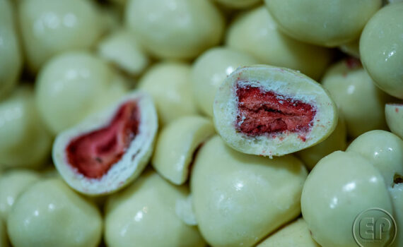 SALON DE L'AGRICULTURE 06