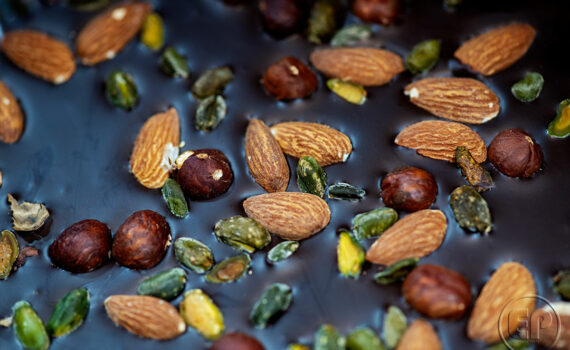 SALON DE L'AGRICULTURE 08