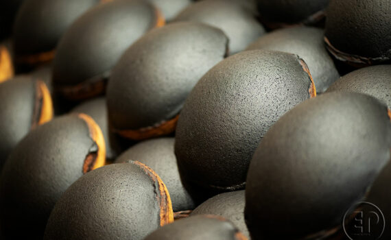 SALON DE L'AGRICULTURE 09