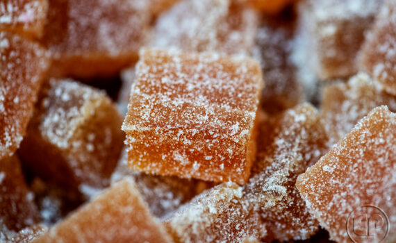 SALON DE L'AGRICULTURE 10