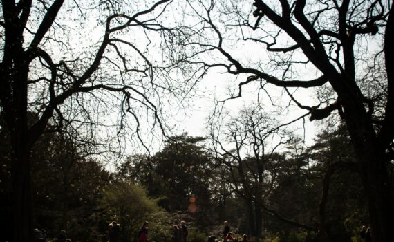 © Patricia Chasseuil