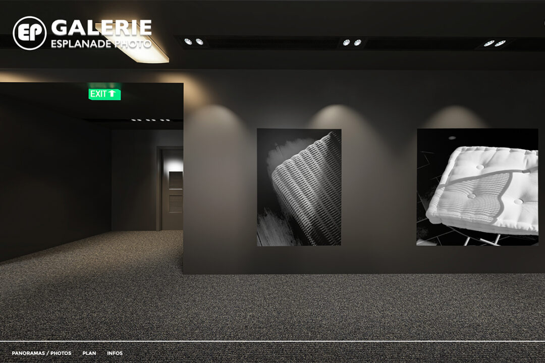 Galerie-Esplanade-Photo-Marian-ALSTER