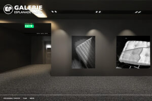 Galerie-Esplanade-Photo-Marian-ALSTER