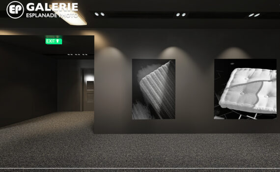 Galerie-Esplanade-Photo-Marian-ALSTER