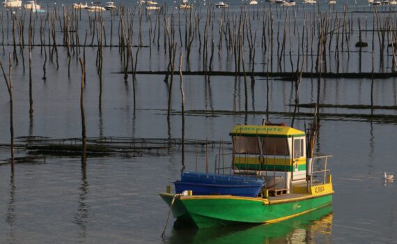 ©Jacques Franceschi