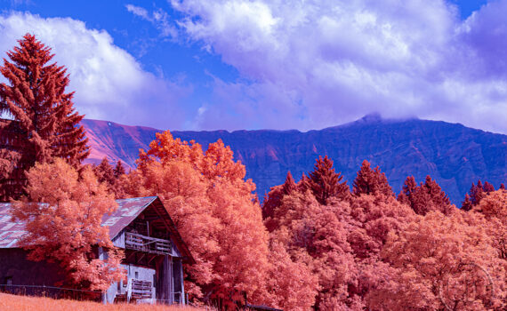 Paysages de Megève en infrarouge 06