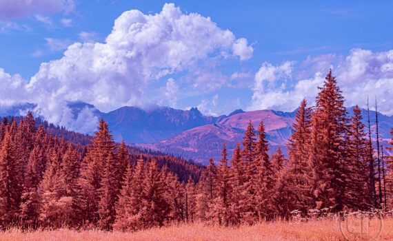 Paysages de Megève en infrarouge 07