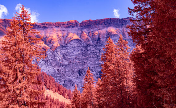 Paysages de Megève en infrarouge 08