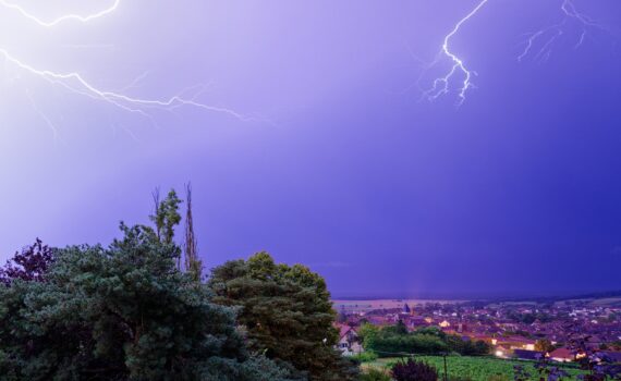 ©Delphine Juillot Guillard