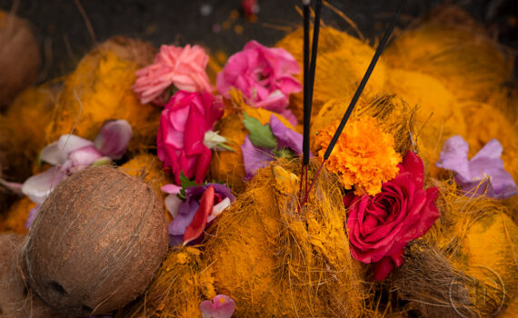 Fête de Ganesh à Paris 03