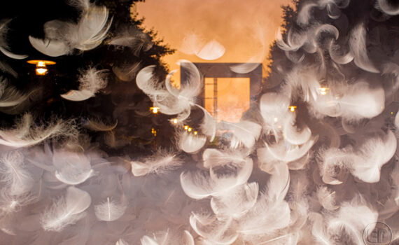 Les Extatiques 2021 02