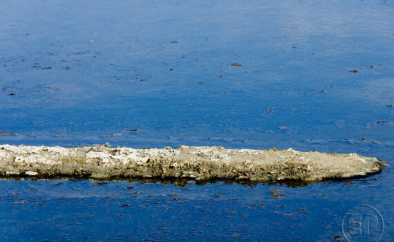 La main de l'homme 01