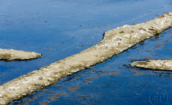 La main de l’homme 02