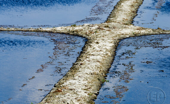 La main de l'homme 03