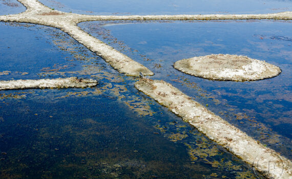 La main de l'homme 04