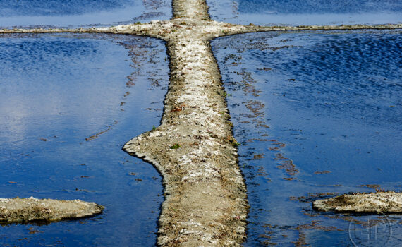 La main de l'homme 05