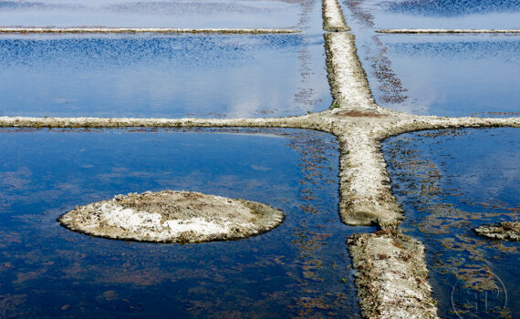 La main de l'homme 06