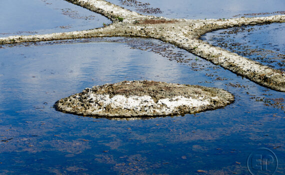 La main de l'homme 07