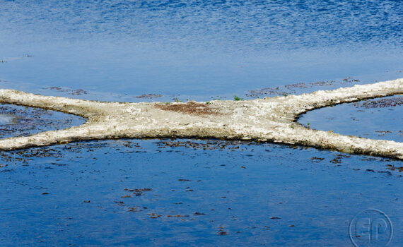 La main de l'homme 08