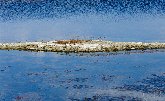 La main de l'homme 09